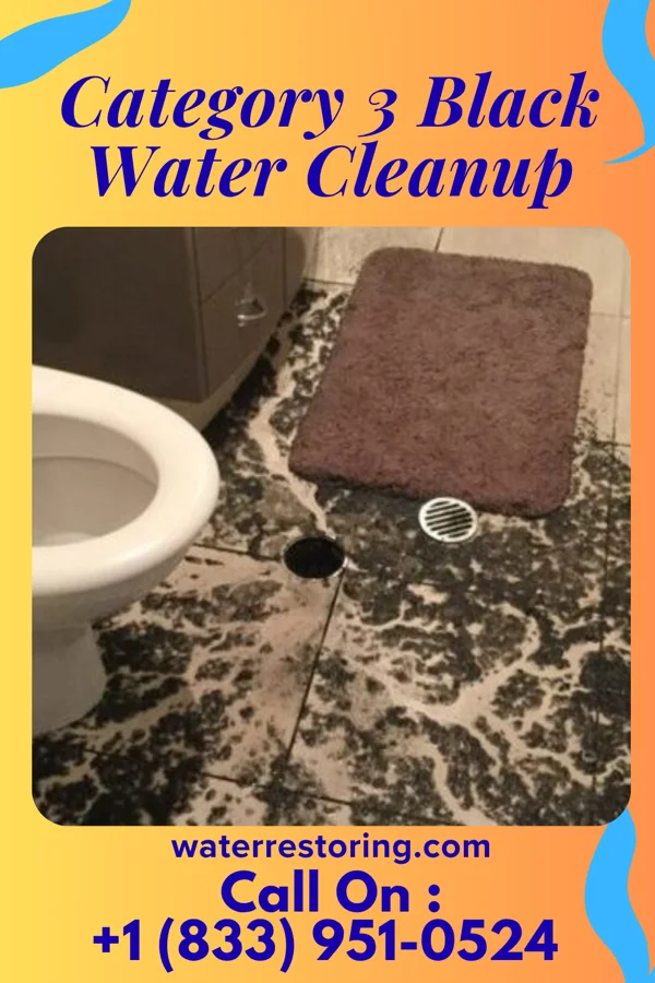 Category 3 Black Water Cleanup in Litchfield, IL